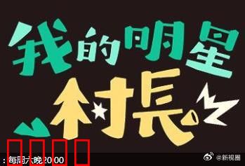 我的明星村长：逆袭之路